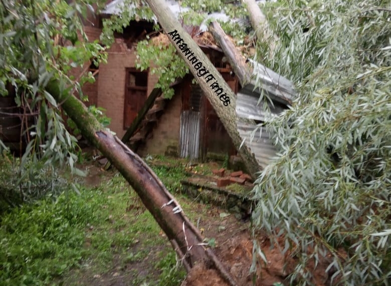 Heavy rains, windstorm wreak havoc in parts of Sopore