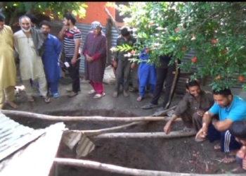 Archaeological Site Found in Kashmir’s Baramulla