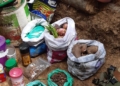 Militant hideout busted, arms & ammunition recovered in Shopian