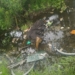 Man killed in Sopore mishap