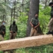 Huge Quantity of illegal timber seized in Boniyar