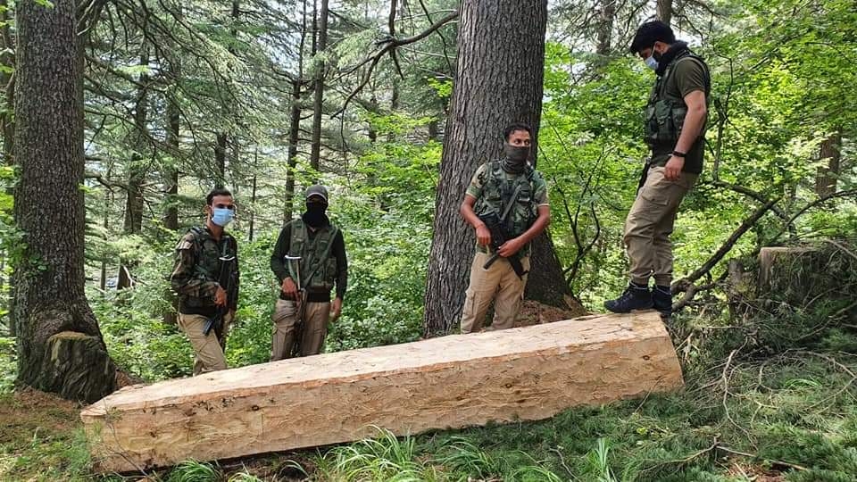 Huge Quantity of illegal timber seized in Boniyar