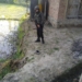 Militants give slip to forces after initial exchange of fire in Budgam