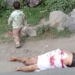 Every eye in Kashmir moist as 3-year-old boy wails grandfather’s death at Sopore shootout site