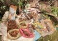 Arms, Ammunition Recovered Amid CASO In Rajouri Village