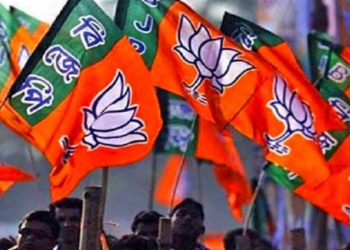 Benefits of Article 370 roll back: No stone pelting in Kashmir, no civilian killings at encounter sites, says BJP Leader Ashok Koul