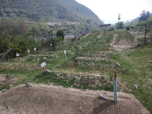 Sopore Gunfight: All three slain militants buried in Sheeri Baramulla