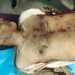 BJP Sarpanch killed in Vessu, Kulgam