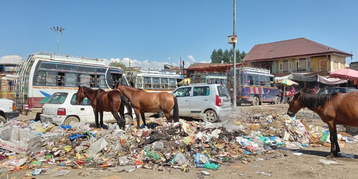 Macadamized in 1987, Sopore bus stand paints a grim picture of Apple Town
