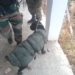Improvised Explosive Device recovered and destroyed by Army in Gulgam, Kupwara
