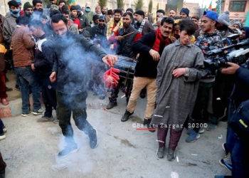 Independent candidates bag majority of seats from Srinagar, secure 7 seats