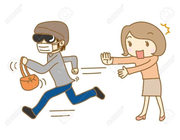 Unidentified youth Snatched a bag from female teacher in Sopore