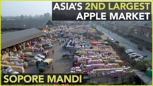 Fruit Mandi Sopore shuts to extend support to farmers’ ‘Bharat Bandh’ call