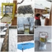 Feed the bird’s, love with Nature