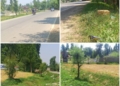 Pathetic roads creates havoc among Kulgad residents, appeals Lt Governer of J&K